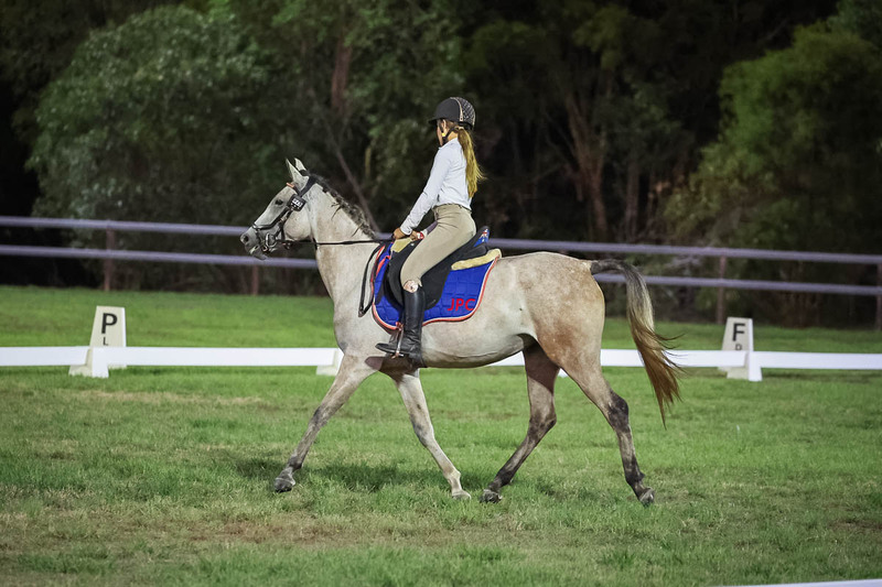 JPC Feb 2026 Dressage-7953.jpg