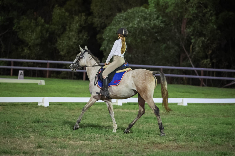 JPC Feb 2026 Dressage-7954.jpg
