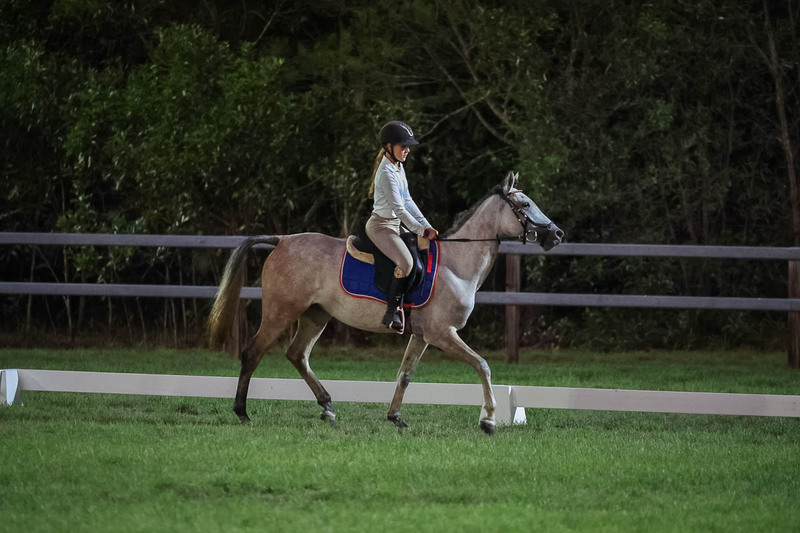 JPC Feb 2026 Dressage-7955.jpg