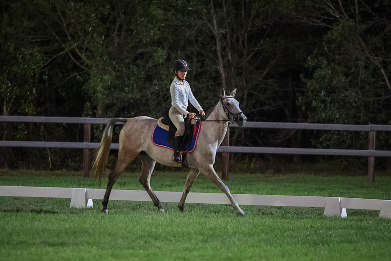 JPC Feb 2026 Dressage-7956.jpg