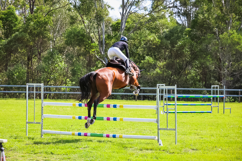 SREC March 2026 105-6146.jpg