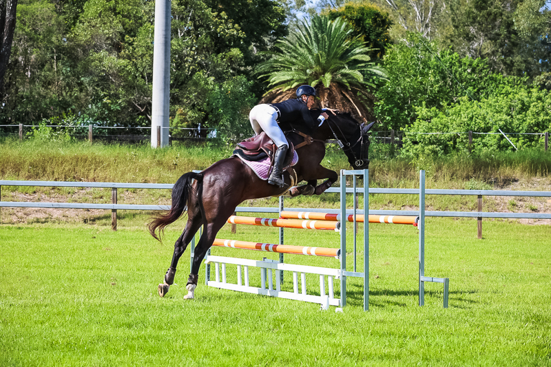 SREC March 2026 105-6164.jpg