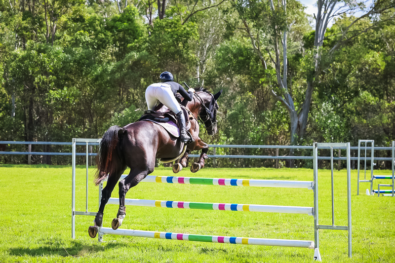 SREC March 2026 105-6168.jpg