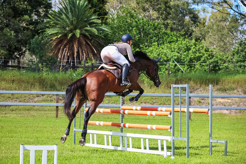 SREC March 2026 105-6188.jpg