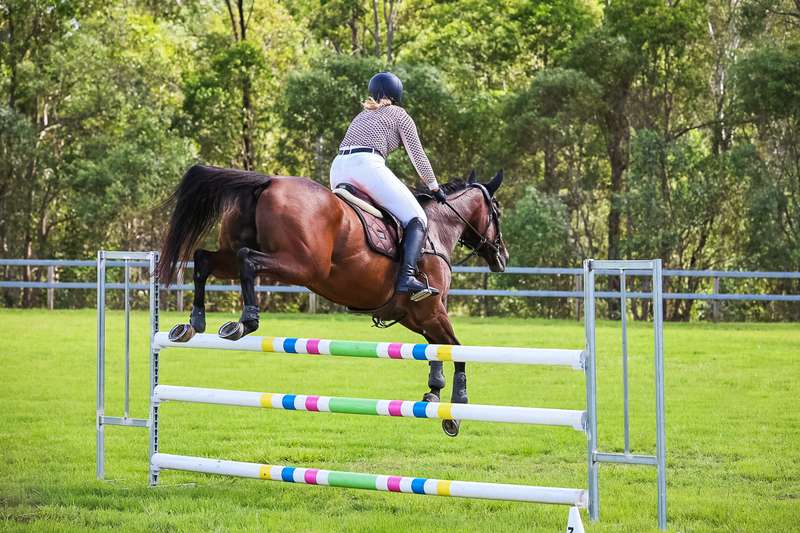 SREC March 2026 105-6194.jpg