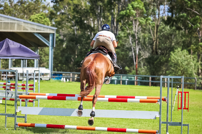 SREC March 2026 105-6236.jpg