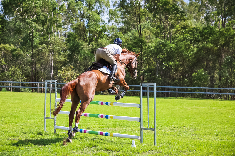 SREC March 2026 105-6241.jpg