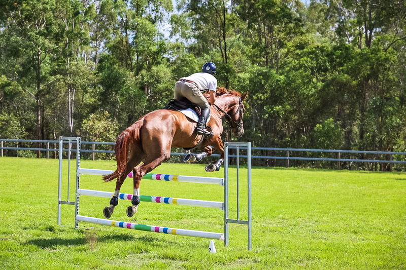 SREC March 2026 105-6242.jpg