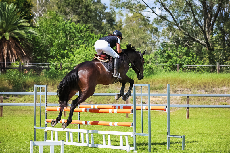 SREC March 2026 105-6262.jpg