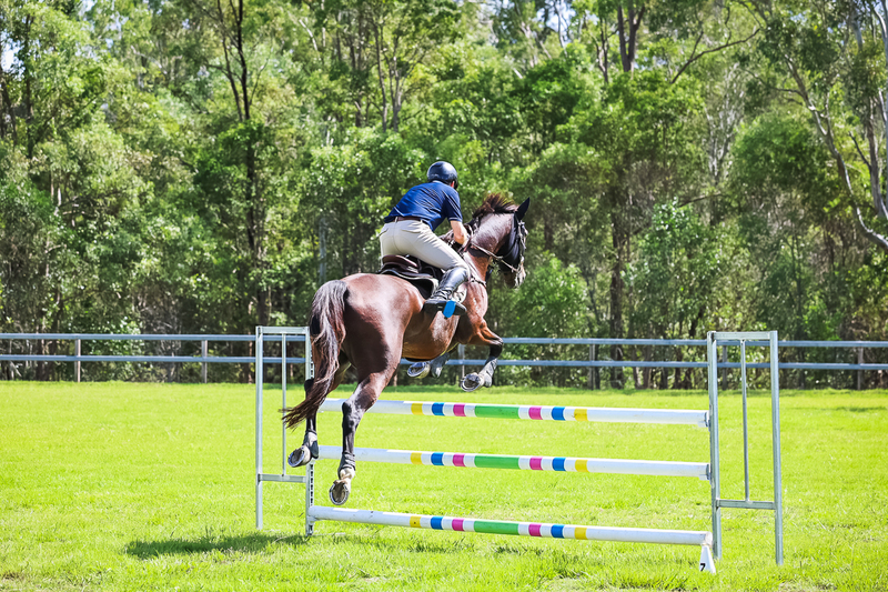 SREC March 2026 105-6311.jpg