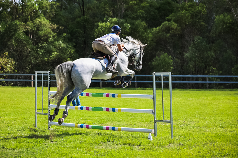 SREC March 2026 105-6338.jpg