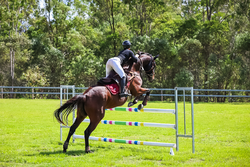 SREC March 2026 105-6390.jpg