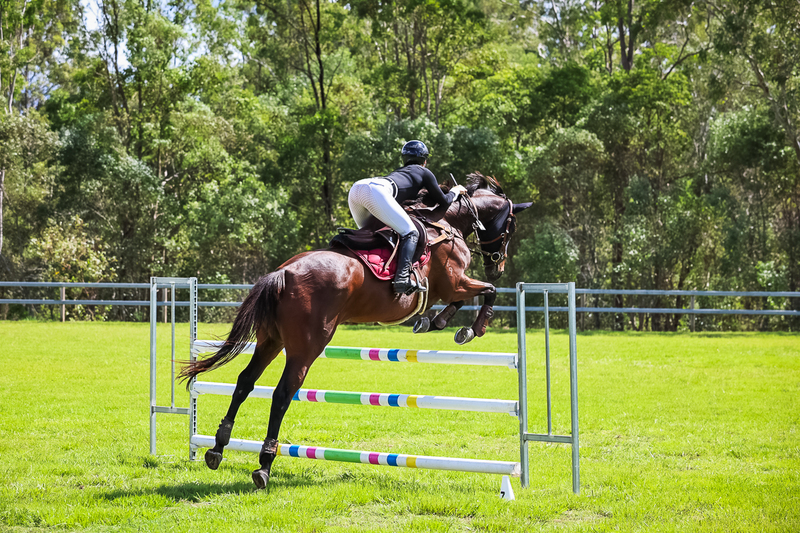 SREC March 2026 105-6391.jpg