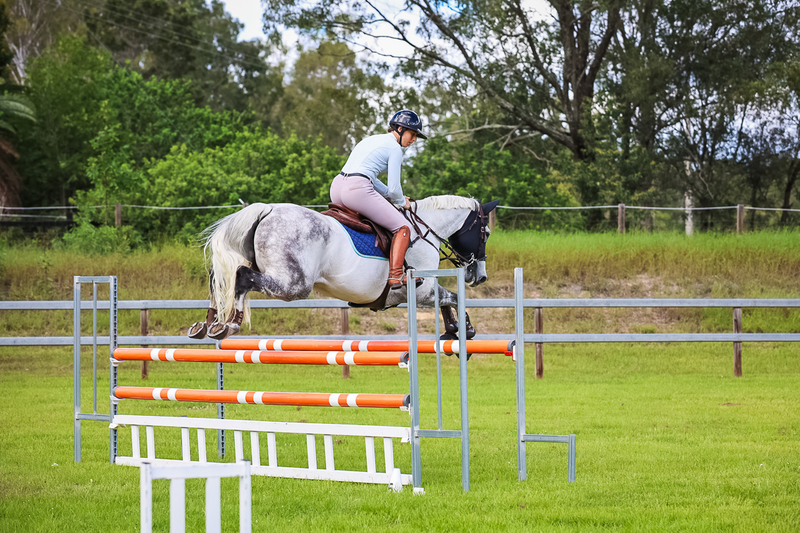 SREC March 2026 105-6431.jpg