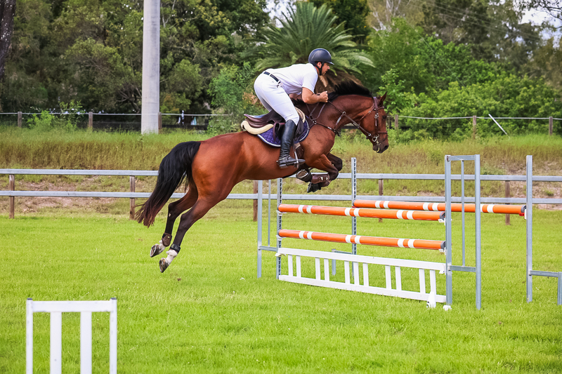 SREC March 2026 105-6456.jpg