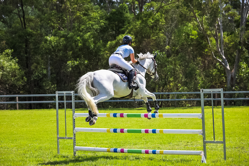 SREC March 2026 105-6534.jpg