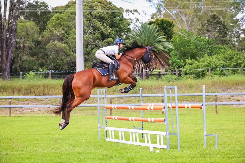 SREC March 2026 115-6580.jpg