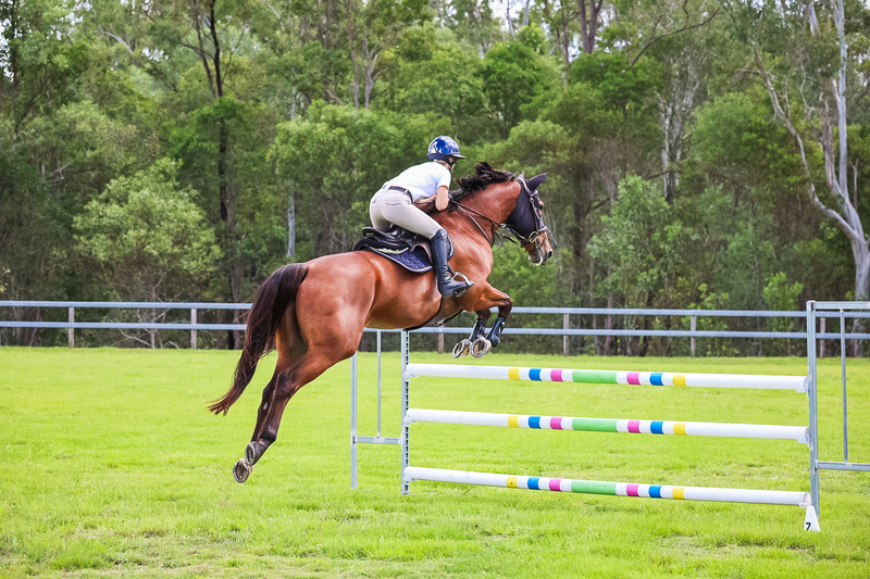 SREC March 2026 115-6584.jpg