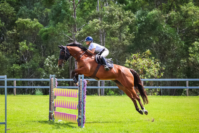 SREC March 2026 115-6592.jpg