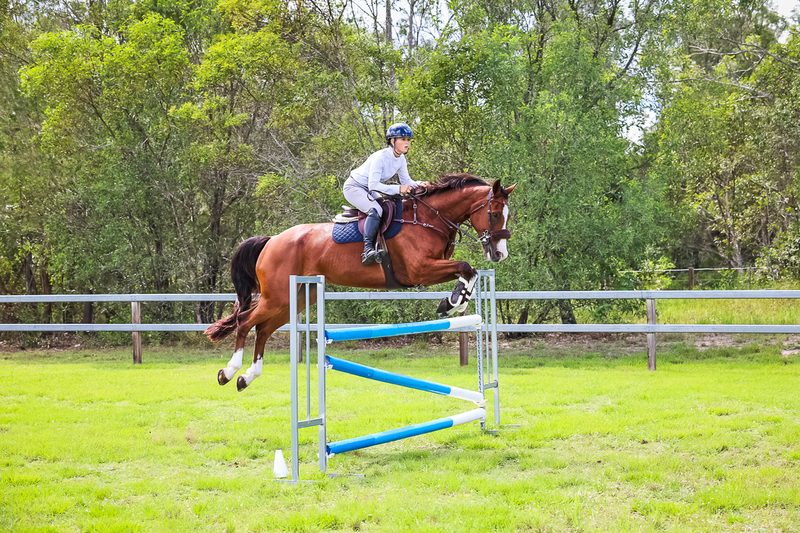 SREC March 2026 115-6600.jpg