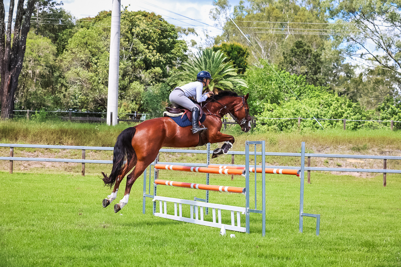 SREC March 2026 115-6602.jpg