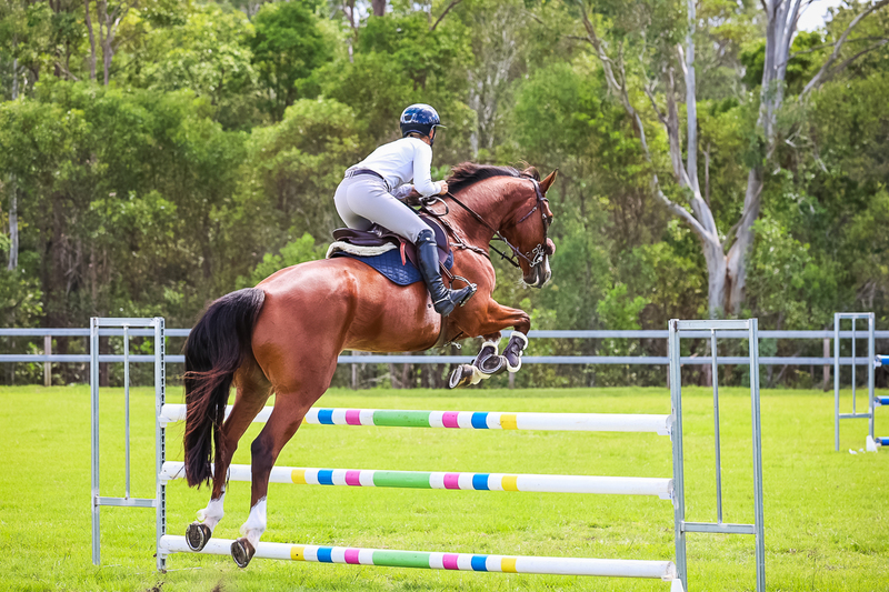 SREC March 2026 115-6607.jpg