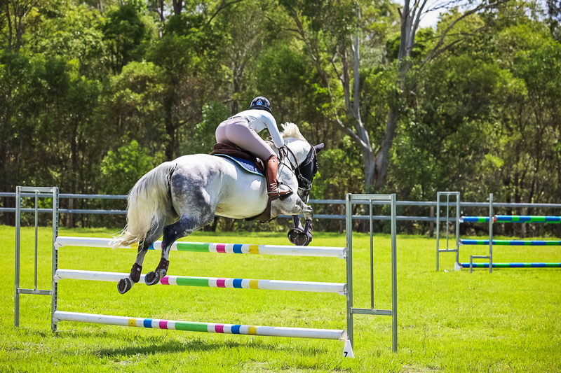 SREC March 2026 115-6698.jpg