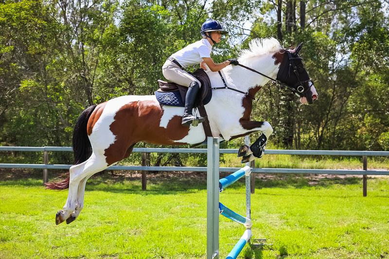 SREC March 2026 115-6741.jpg