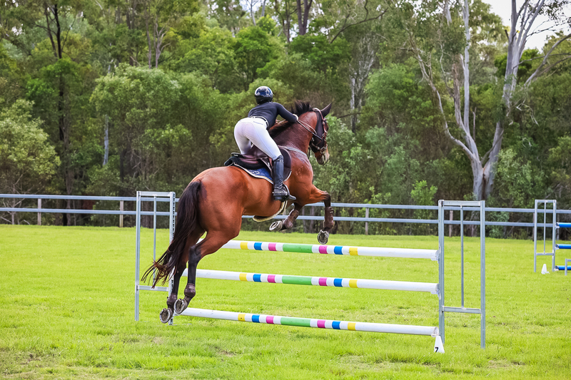 SREC March 2026 115-6810.jpg