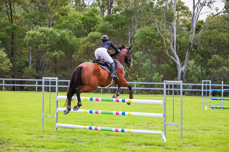 SREC March 2026 115-6811.jpg