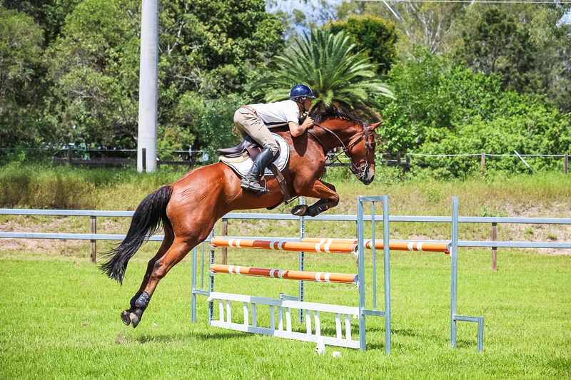 SREC March 2026 115-6872.jpg