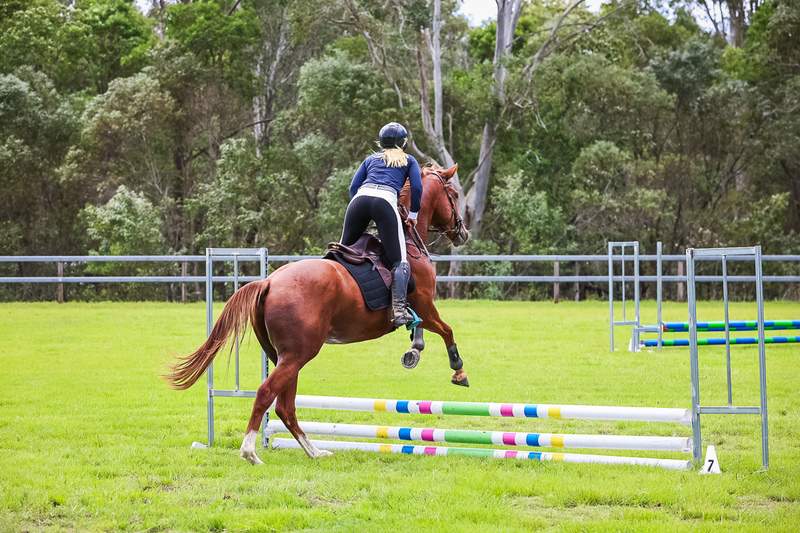 SREC March 2026 45-7130.jpg