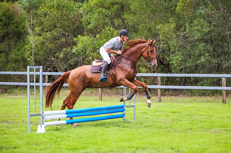 SREC March 2026 45-7232.jpg