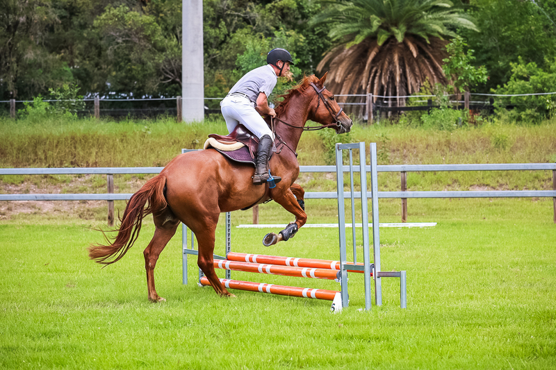 SREC March 2026 45-7235.jpg