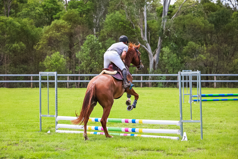 SREC March 2026 45-7240.jpg