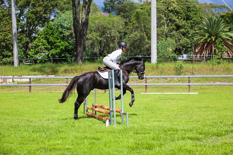 SREC March 2026 45-7291.jpg