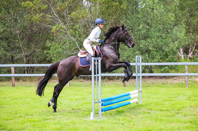 SREC March 2026 45-7308.jpg