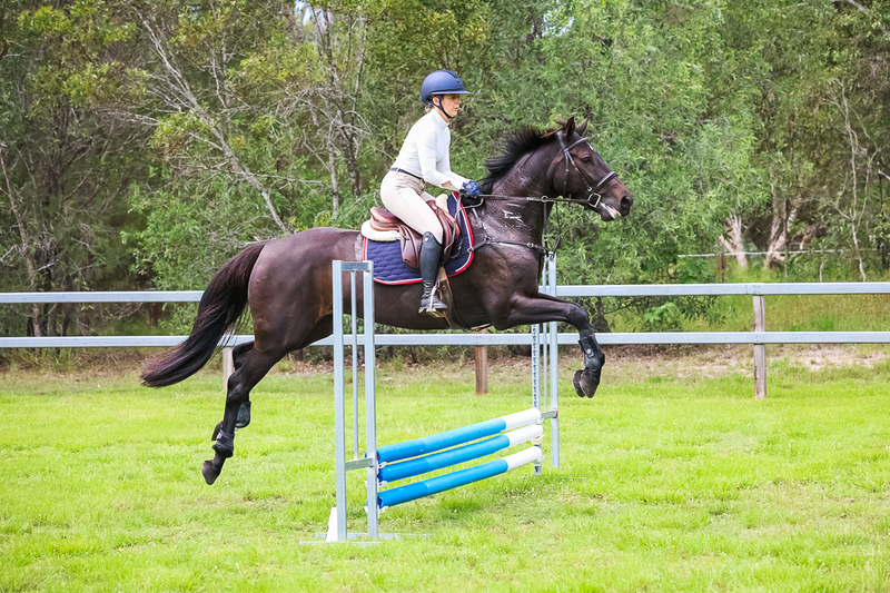 SREC March 2026 45-7309.jpg