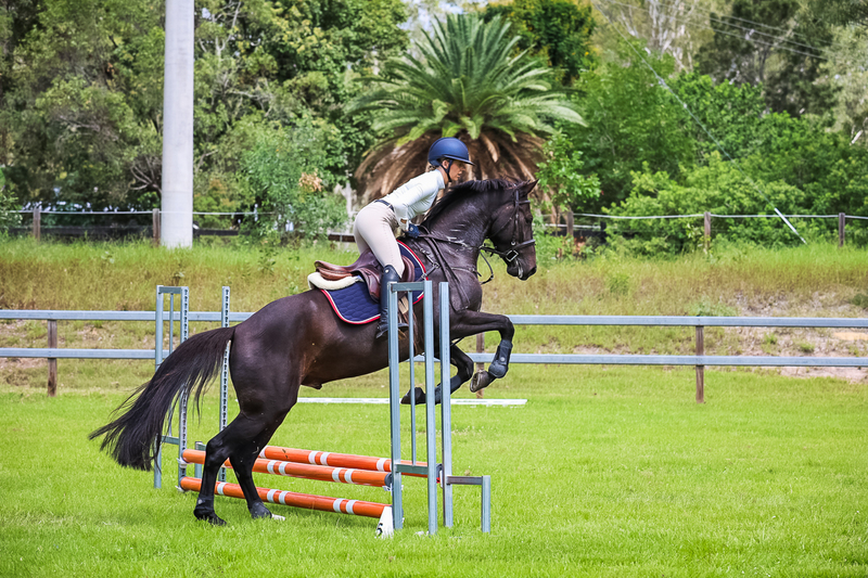 SREC March 2026 45-7310.jpg