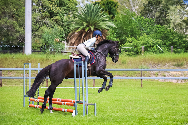 SREC March 2026 45-7311.jpg