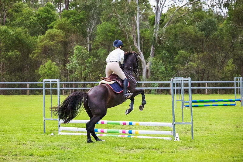 SREC March 2026 45-7313.jpg