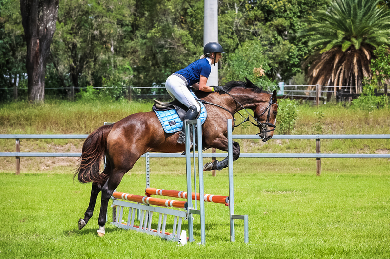 SREC March 2026 65-7337.jpg