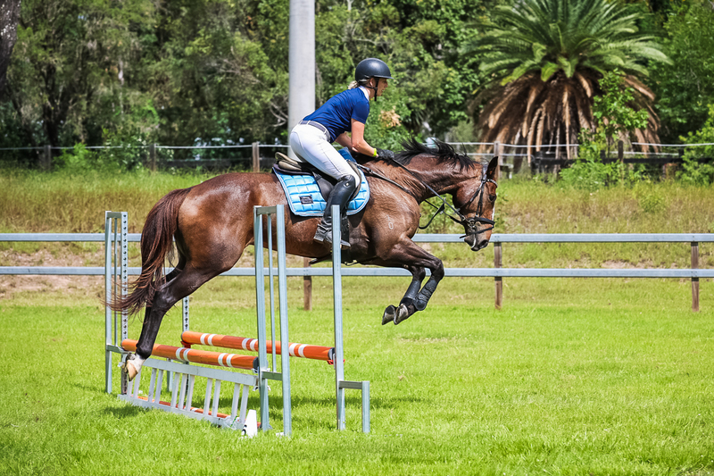 SREC March 2026 65-7338.jpg