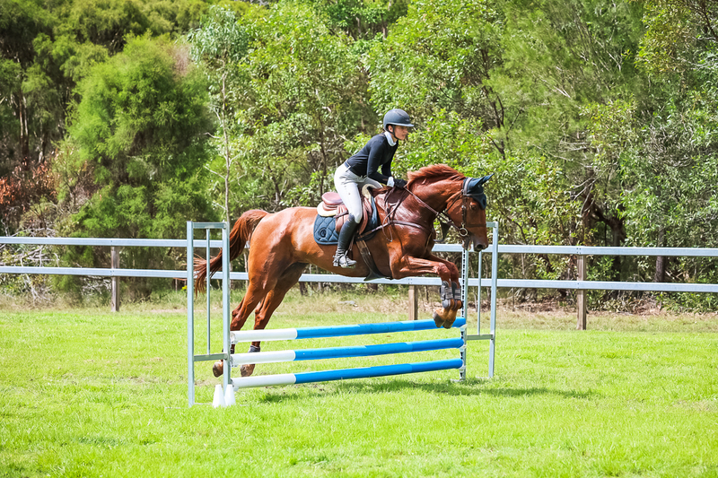 SREC March 2026 65-7355.jpg