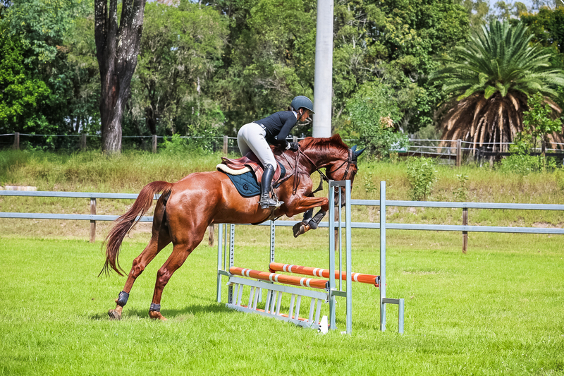 SREC March 2026 65-7358.jpg