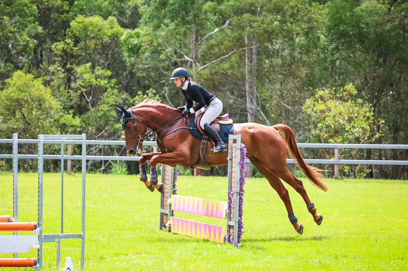 SREC March 2026 65-7371.jpg