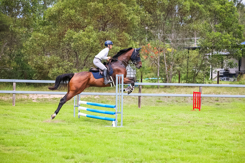 SREC March 2026 65-7377.jpg