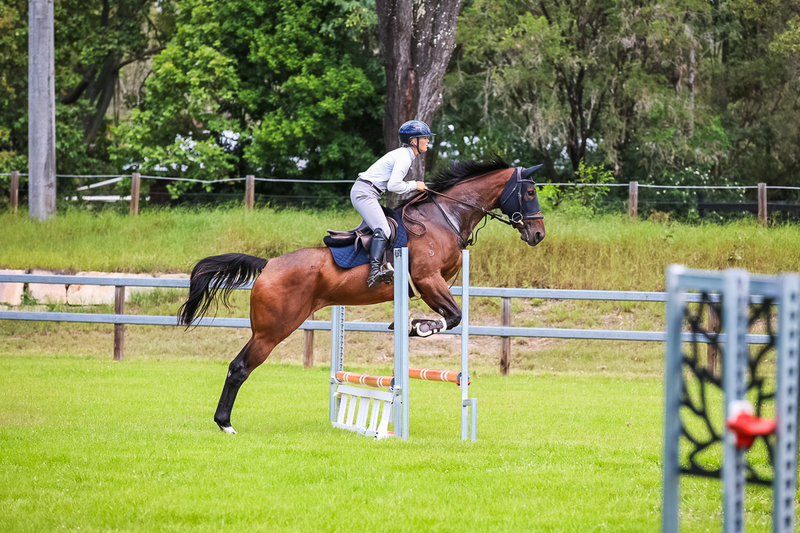 SREC March 2026 65-7378.jpg