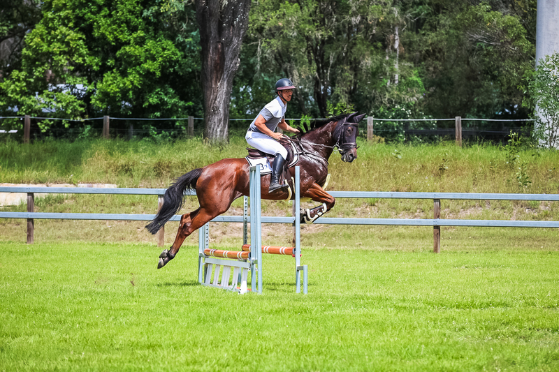 SREC March 2026 65-7404.jpg