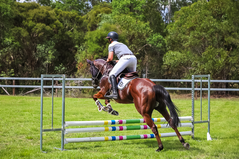 SREC March 2026 65-7407.jpg